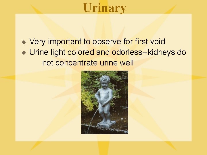 Urinary l l Very important to observe for first void Urine light colored and