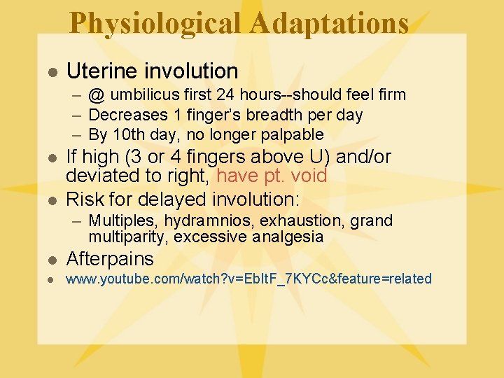 Physiological Adaptations l Uterine involution – @ umbilicus first 24 hours--should feel firm –