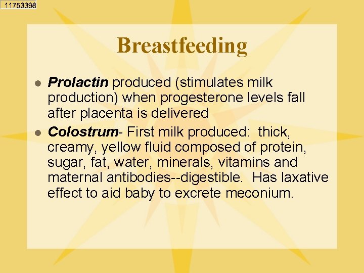 Breastfeeding l l Prolactin produced (stimulates milk production) when progesterone levels fall after placenta