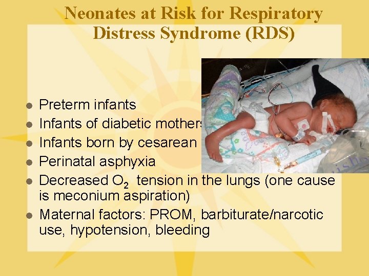 Neonates at Risk for Respiratory Distress Syndrome (RDS) l l l Preterm infants Infants