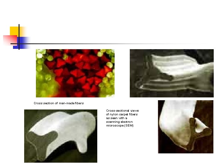 Cross section of man-made fibers Cross-sectional views of nylon carpet fibers as seen with