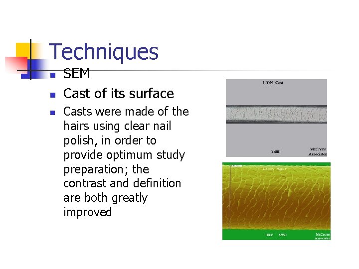 Techniques n n n SEM Cast of its surface Casts were made of the