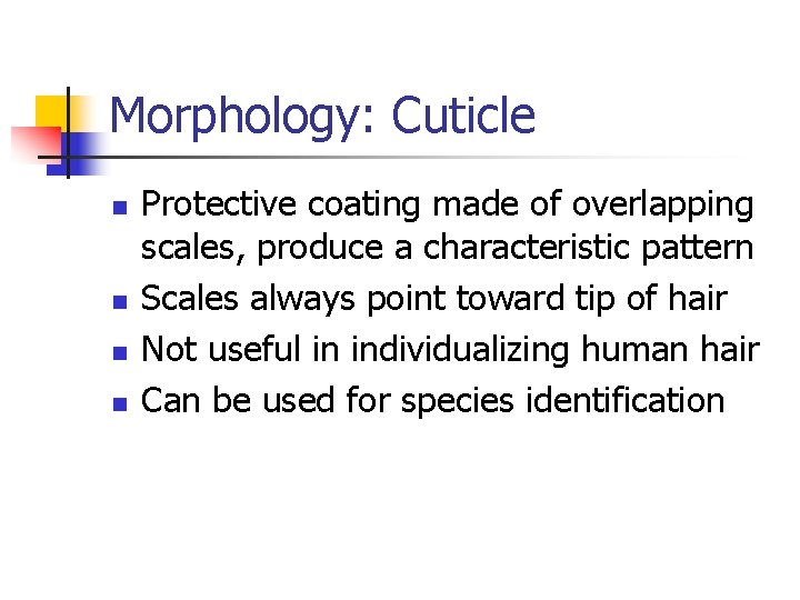 Morphology: Cuticle n n Protective coating made of overlapping scales, produce a characteristic pattern