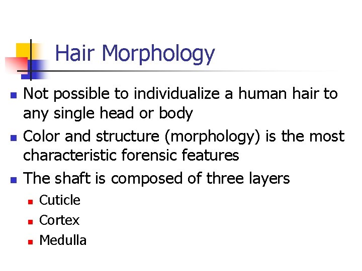 Hair Morphology n n n Not possible to individualize a human hair to any