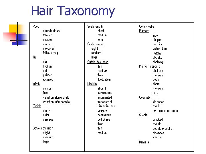 Hair Taxonomy 