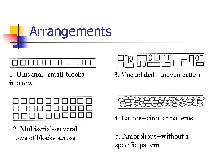 Arrangements 1. Uniserial--small blocks in a row 3. Vacuolated--uneven pattern 4. Lattice--circular patterns 2.