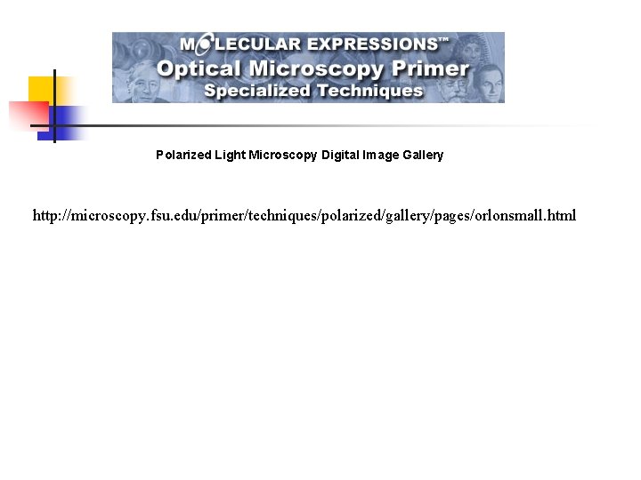 Polarized Light Microscopy Digital Image Gallery http: //microscopy. fsu. edu/primer/techniques/polarized/gallery/pages/orlonsmall. html 