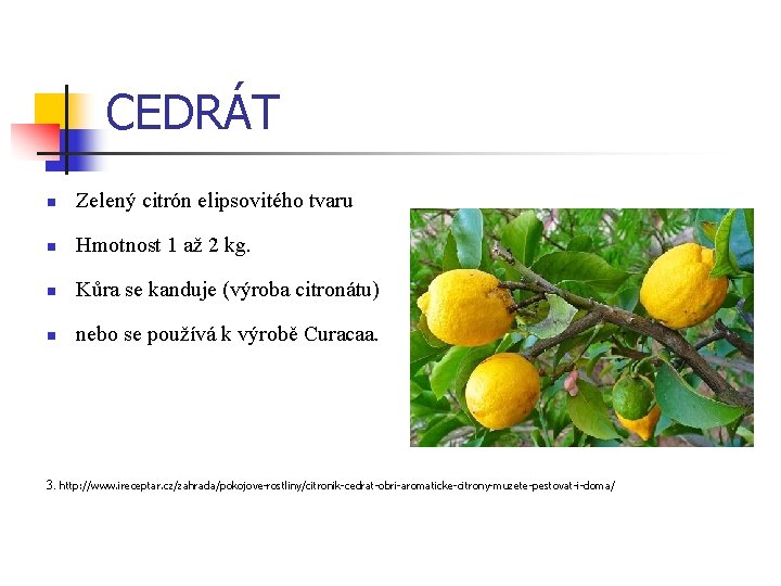 CEDRÁT n Zelený citrón elipsovitého tvaru n Hmotnost 1 až 2 kg. n Kůra