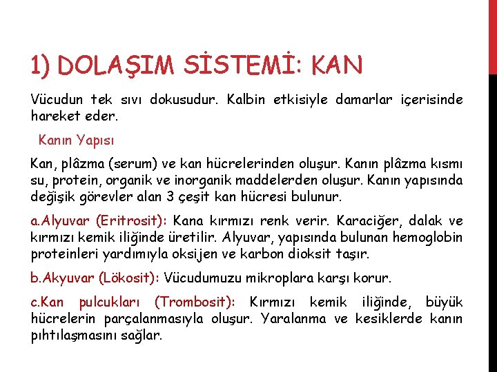 1) DOLAŞIM SİSTEMİ: KAN Vücudun tek sıvı dokusudur. Kalbin etkisiyle damarlar içerisinde hareket eder.