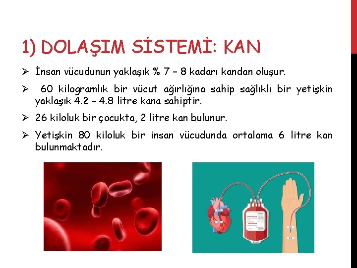 1) DOLAŞIM SİSTEMİ: KAN Ø İnsan vücudunun yaklaşık % 7 – 8 kadarı kandan