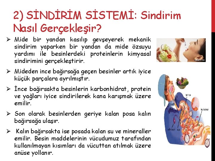 2) SİNDİRİM SİSTEMİ: Sindirim Nasıl Gerçekleşir? Ø Mide bir yandan kasılıp gevşeyerek mekanik sindirim
