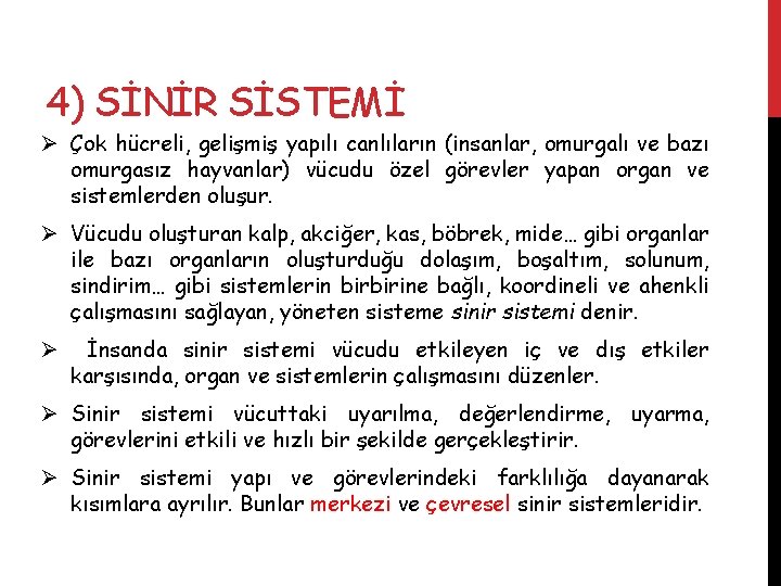 4) SİNİR SİSTEMİ Ø Çok hücreli, gelişmiş yapılı canlıların (insanlar, omurgalı ve bazı omurgasız