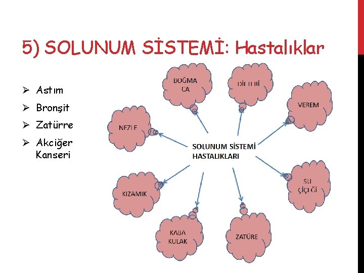 5) SOLUNUM SİSTEMİ: Hastalıklar Ø Astım Ø Bronşit Ø Zatürre Ø Akciğer Kanseri 