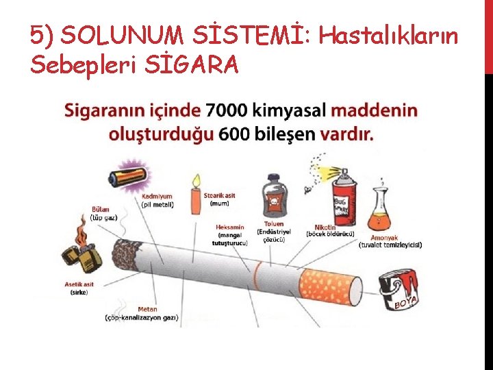 5) SOLUNUM SİSTEMİ: Hastalıkların Sebepleri SİGARA 