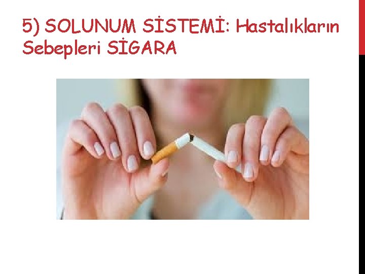 5) SOLUNUM SİSTEMİ: Hastalıkların Sebepleri SİGARA 