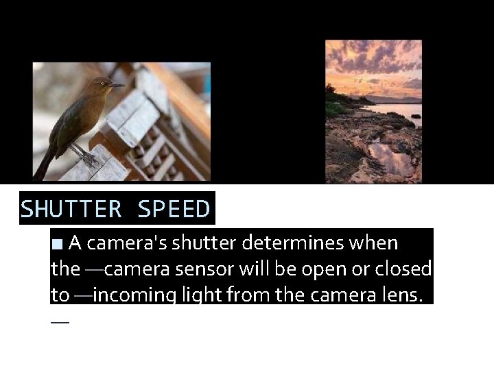 SHUTTER SPEED ■ A camera's shutter determines when the —camera sensor will be open