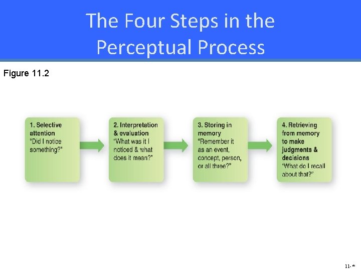 The Four Steps in the Perceptual Process Figure 11. 2 11 -* 