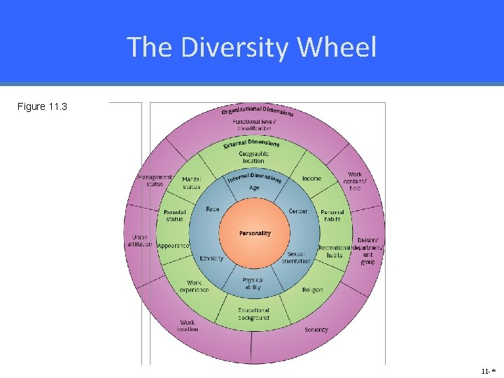 The Diversity Wheel Figure 11. 3 11 -* 