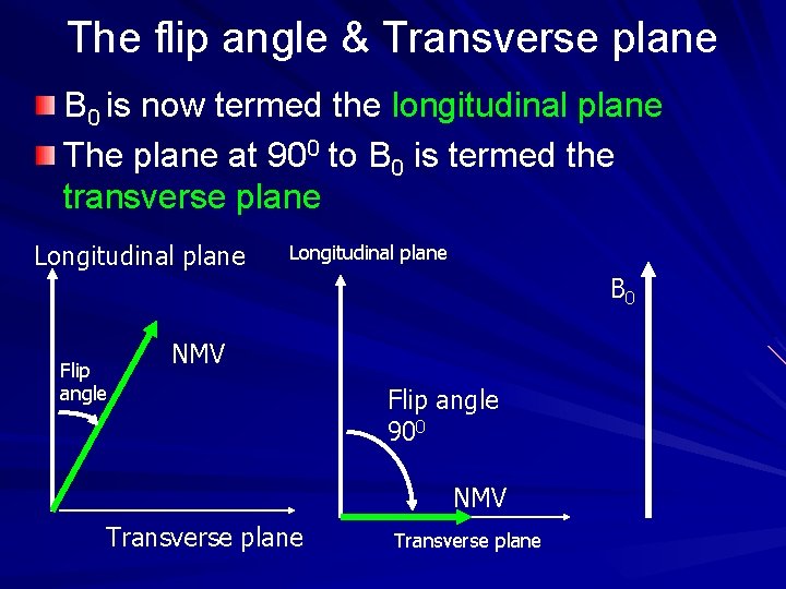The flip angle & Transverse plane B 0 is now termed the longitudinal plane