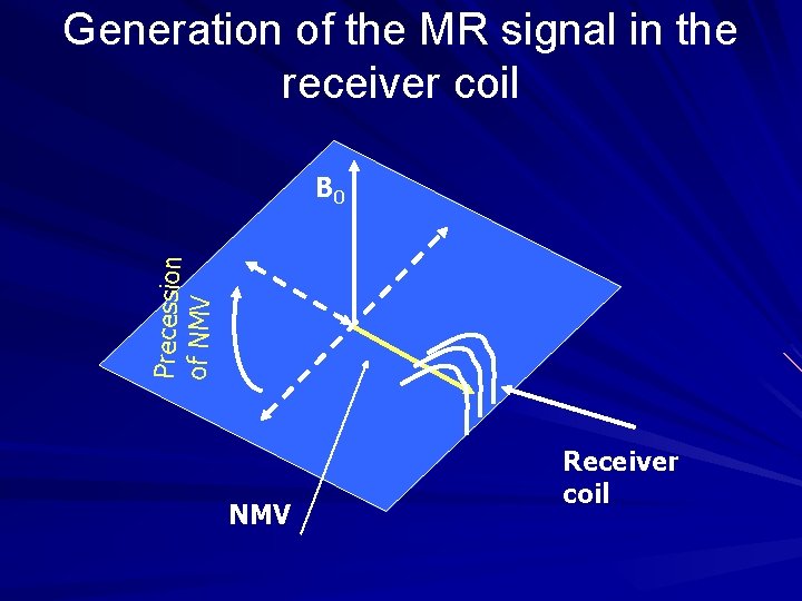 Generation of the MR signal in the receiver coil Precession of NMV B 0