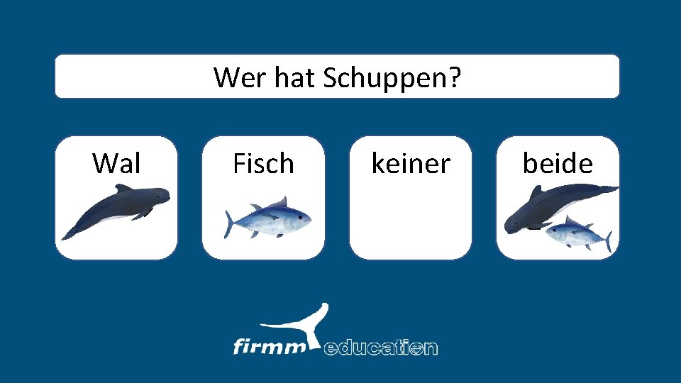 Wer hat Schuppen? Wal Fisch keiner beide 