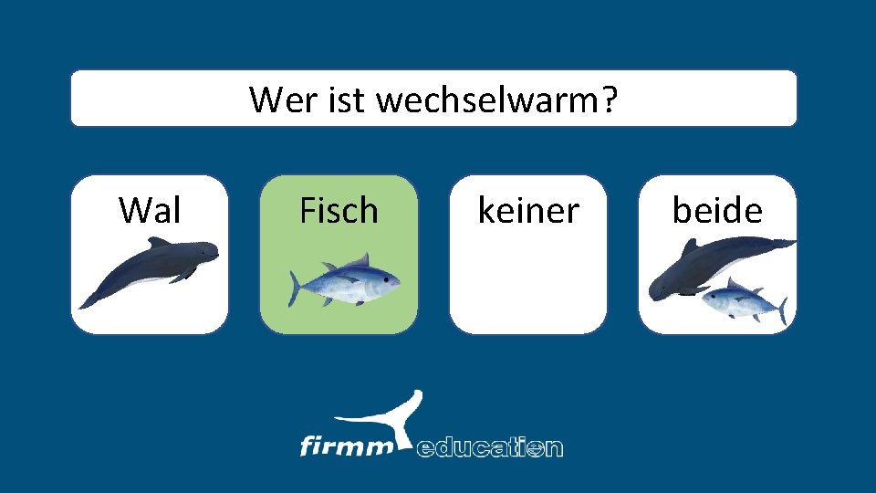 Wer ist wechselwarm? Wal Fisch keiner beide 