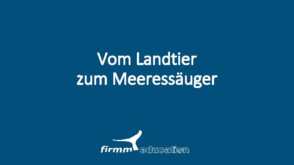 Vom Landtier zum Meeressäuger 