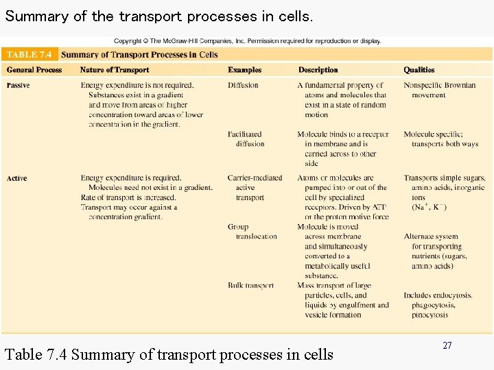 Summary of the transport processes in cells. Table 7. 4 Summary of transport processes