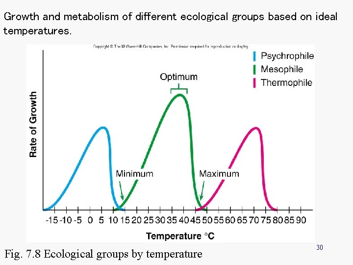 Growth and metabolism of different ecological groups based on ideal temperatures. Fig. 7. 8