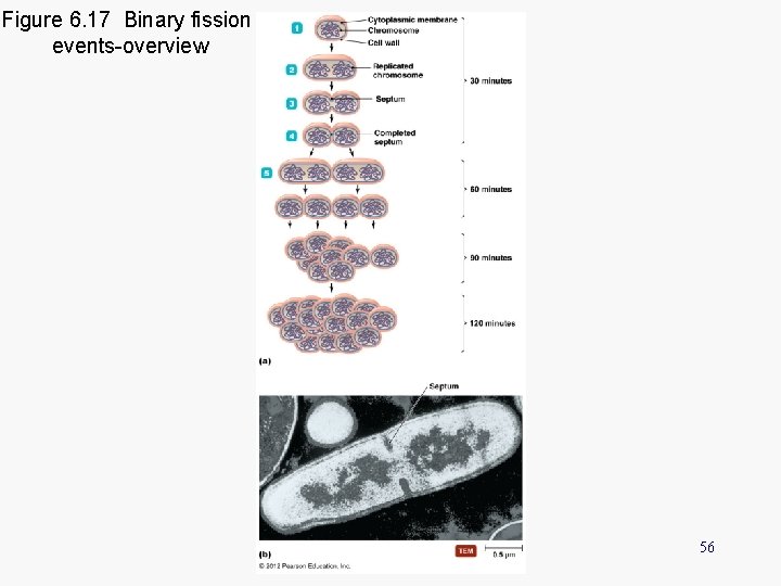 Figure 6. 17 Binary fission events-overview 56 