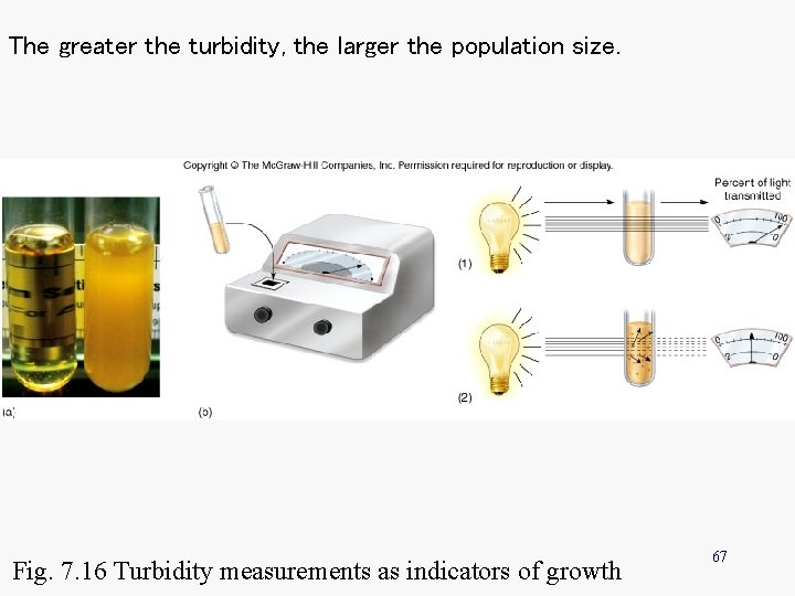 The greater the turbidity, the larger the population size. Fig. 7. 16 Turbidity measurements