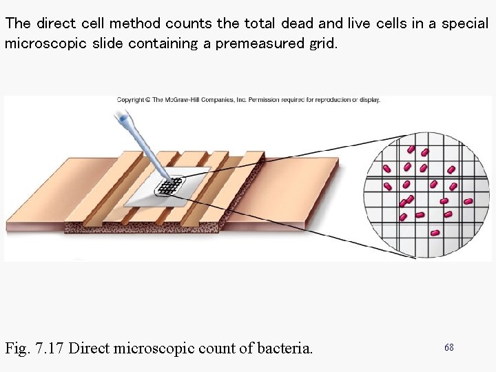 The direct cell method counts the total dead and live cells in a special