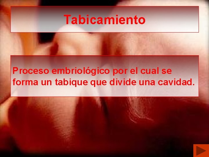 Tabicamiento Proceso embriológico por el cual se forma un tabique divide una cavidad. 