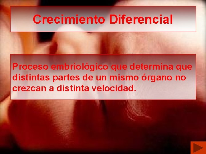 Crecimiento Diferencial Proceso embriológico que determina que distintas partes de un mismo órgano no