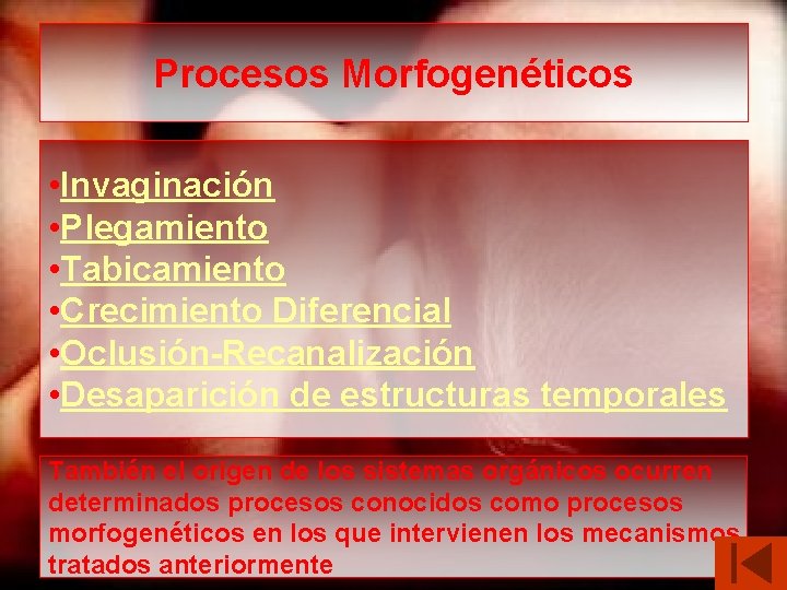 Procesos Morfogenéticos • Invaginación • Plegamiento • Tabicamiento • Crecimiento Diferencial • Oclusión-Recanalización •