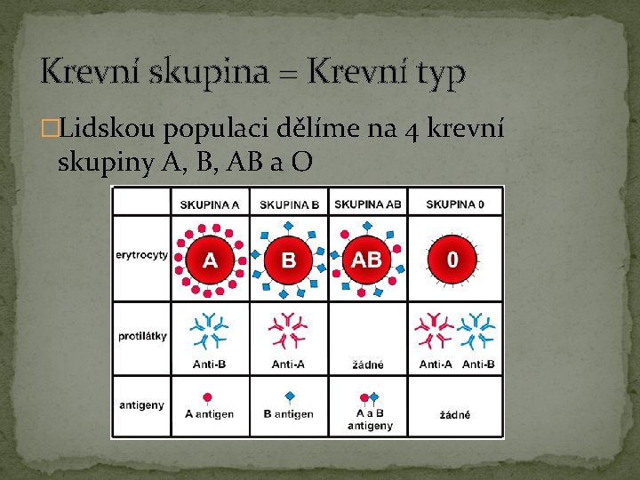 Krevní skupina = Krevní typ �Lidskou populaci dělíme na 4 krevní skupiny A, B,