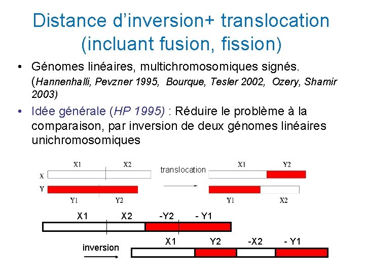 Distance d’inversion+ translocation (incluant fusion, fission) • Génomes linéaires, multichromosomiques signés. (Hannenhalli, Pevzner 1995,
