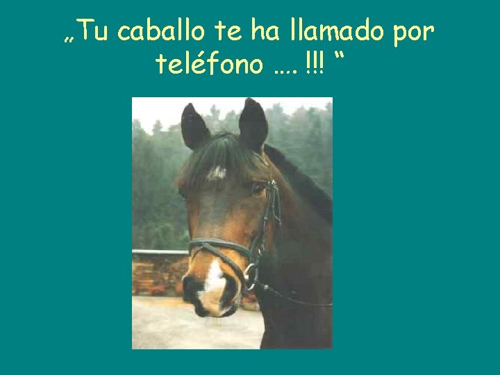 „Tu caballo te ha llamado por teléfono …. !!! “ 