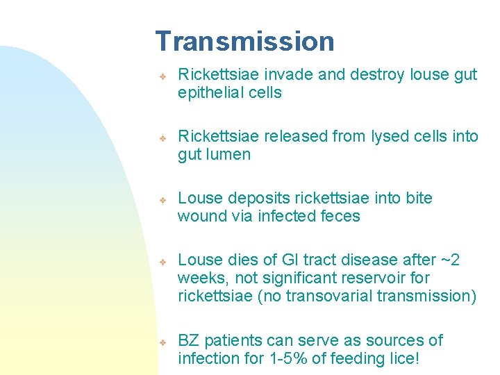 Transmission v v v Rickettsiae invade and destroy louse gut epithelial cells Rickettsiae released