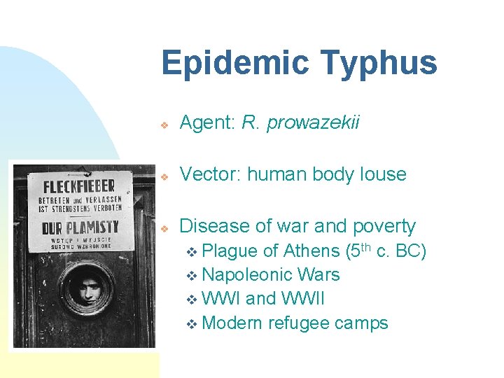 Epidemic Typhus v Agent: R. prowazekii v Vector: human body louse v Disease of