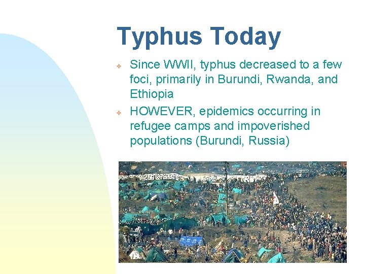 Typhus Today v v Since WWII, typhus decreased to a few foci, primarily in