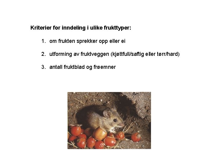 Kriterier for inndeling i ulike frukttyper: 1. om frukten sprekker opp eller ei 2.