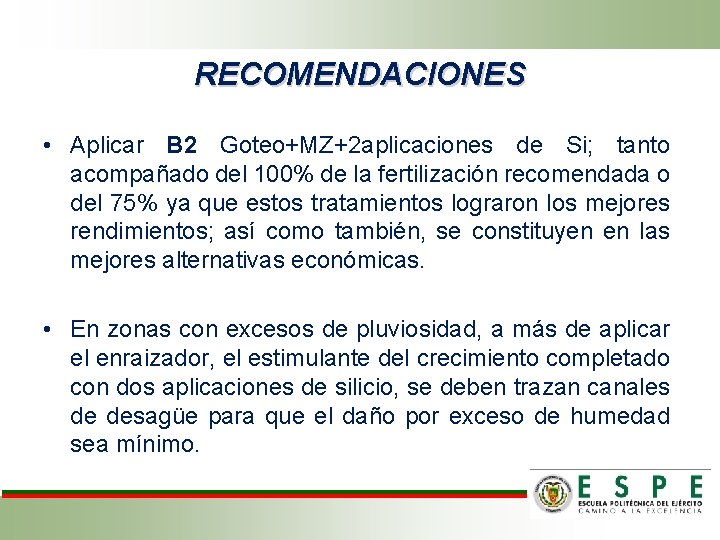 RECOMENDACIONES • Aplicar B 2 Goteo+MZ+2 aplicaciones de Si; tanto acompañado del 100% de