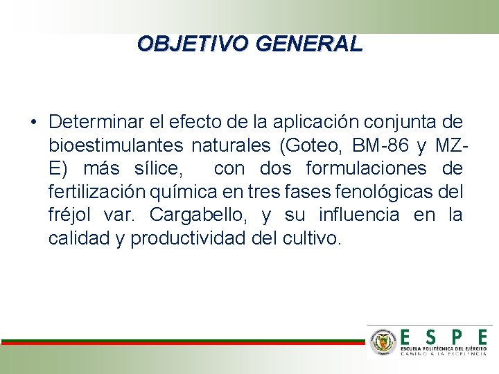 OBJETIVO GENERAL • Determinar el efecto de la aplicación conjunta de bioestimulantes naturales (Goteo,
