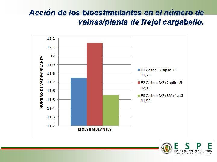 Acción de los bioestimulantes en el número de vainas/planta de frejol cargabello. 