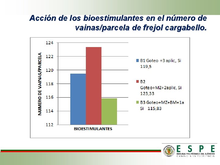 Acción de los bioestimulantes en el número de vainas/parcela de frejol cargabello. 