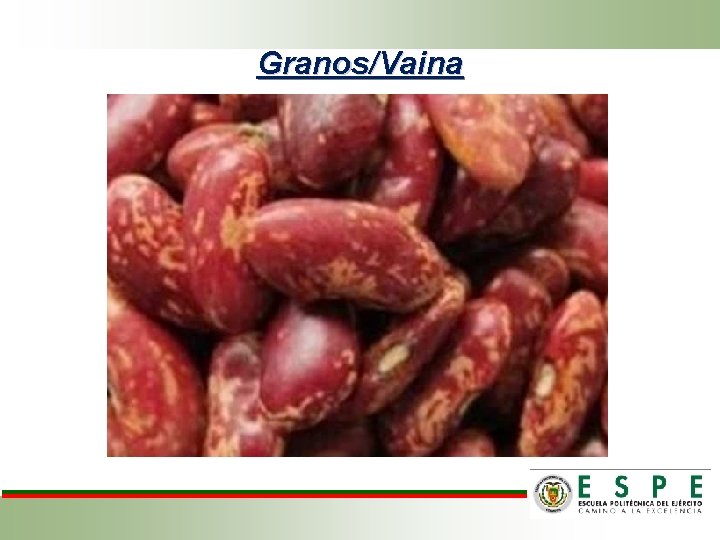 Granos/Vaina 