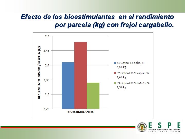Efecto de los bioestimulantes en el rendimiento por parcela (kg) con frejol cargabello. 