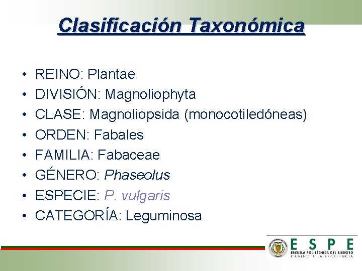 Clasificación Taxonómica • • REINO: Plantae DIVISIÓN: Magnoliophyta CLASE: Magnoliopsida (monocotiledóneas) ORDEN: Fabales FAMILIA: