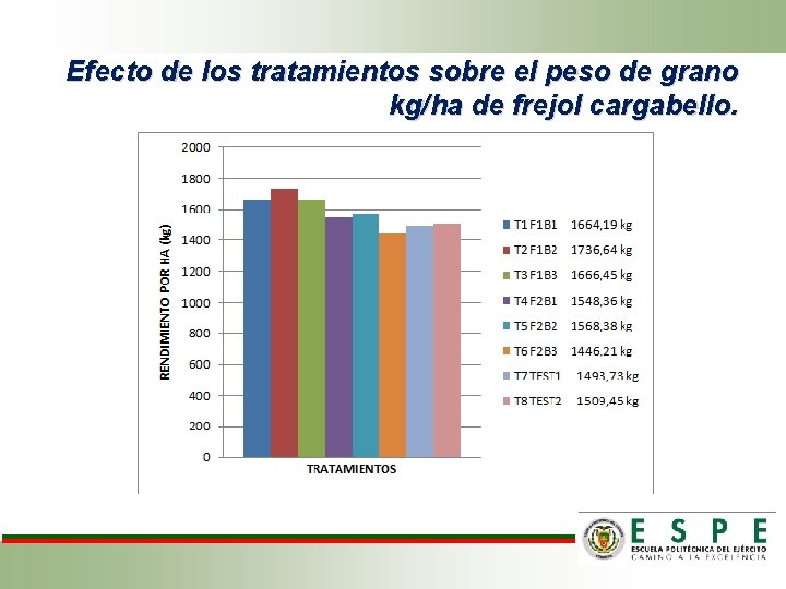 Efecto de los tratamientos sobre el peso de grano kg/ha de frejol cargabello. 